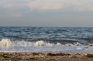 Dsc_0534